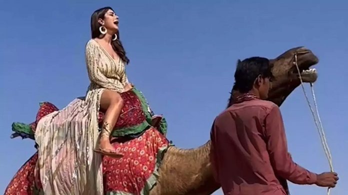 Shahnaz Gill's bad condition sitting on a camel, fans laughed